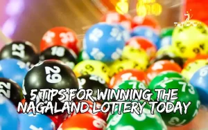 nagaland lottery today